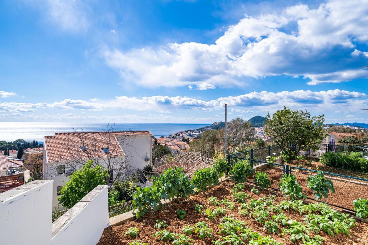 דוברובניק Apartment Debos מראה חיצוני תמונה